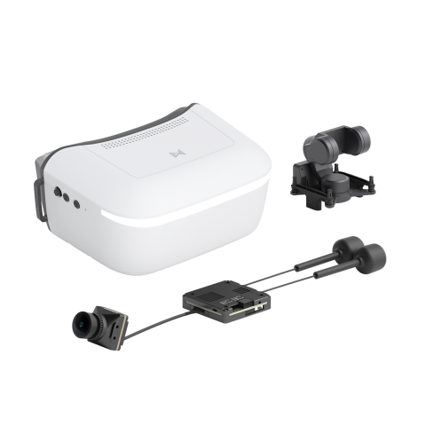 Walksnail Avatar HD Goggles L с GM3 и Pro Kit