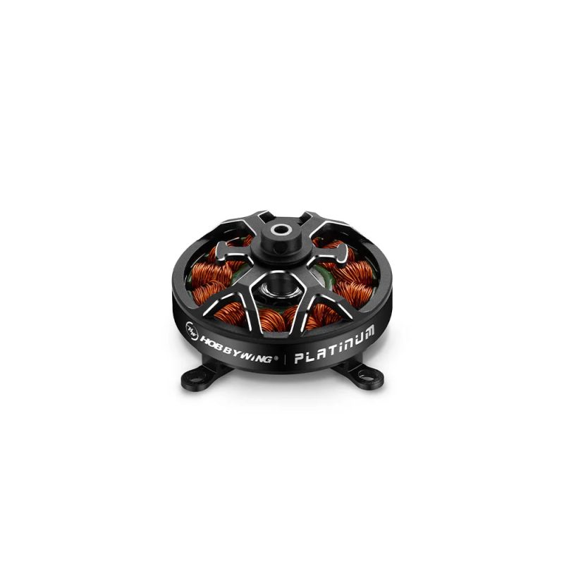 Hobbywing PLATINUM 2604 1500KV 1900KV Indoor RC Planes Motor